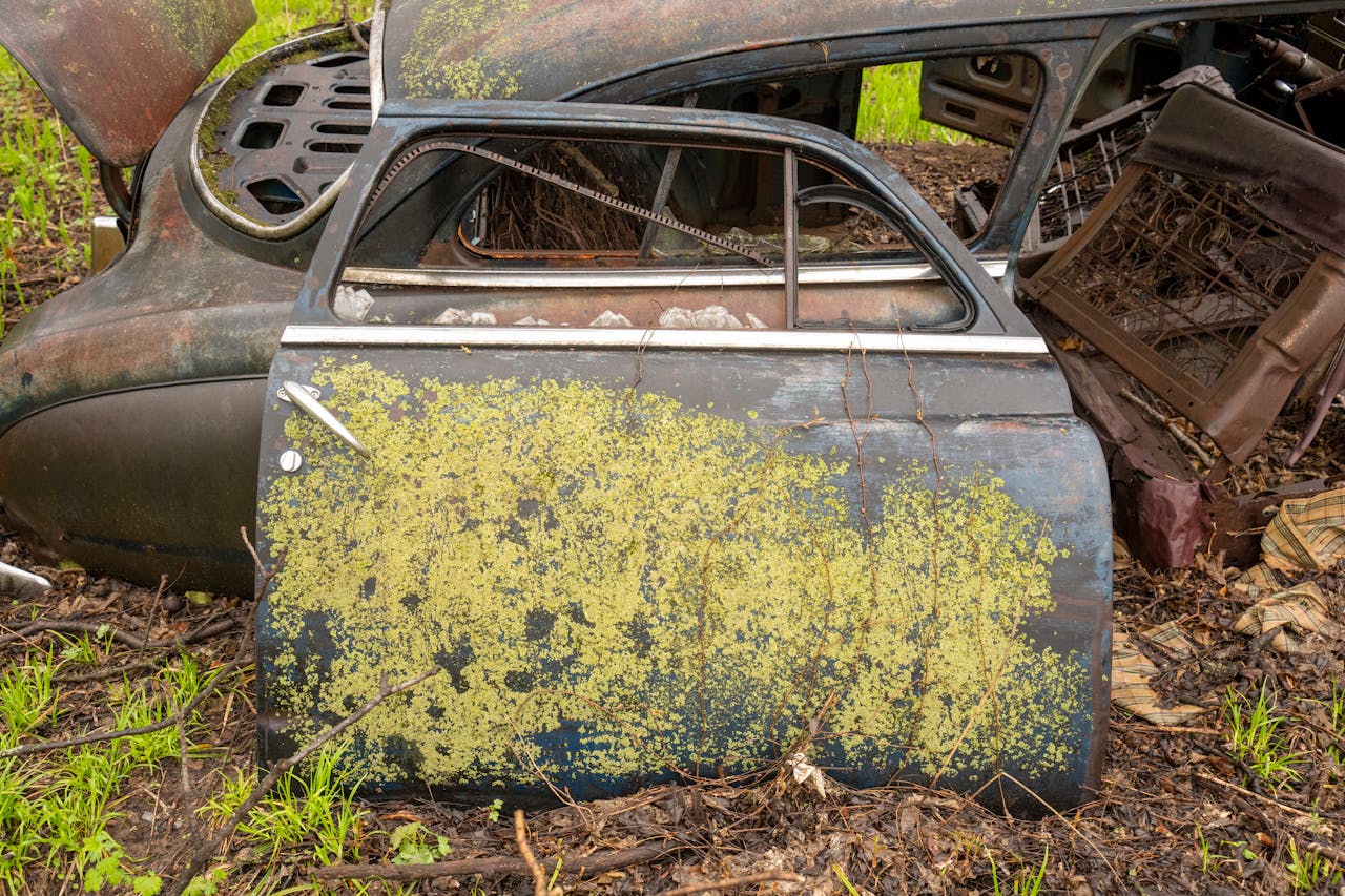 Close-up of an old vintage car door covered in lichen, symbolizing decay and nature's reclaiming.